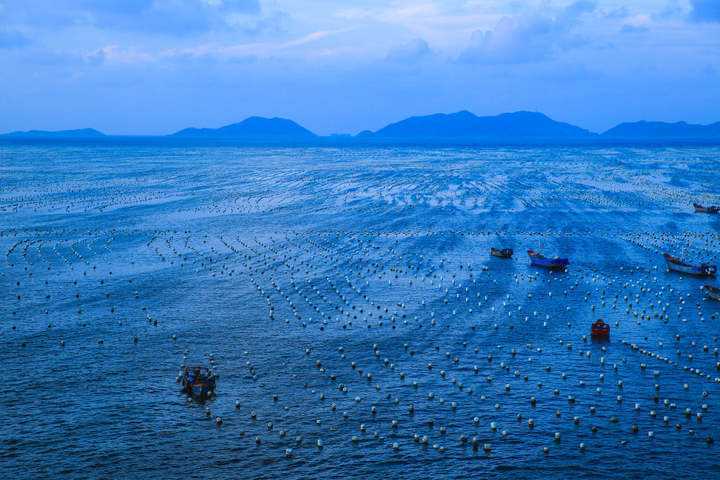 浙江三门深耕“蓝色牧场” 开发三门青蟹等海洋养殖产业