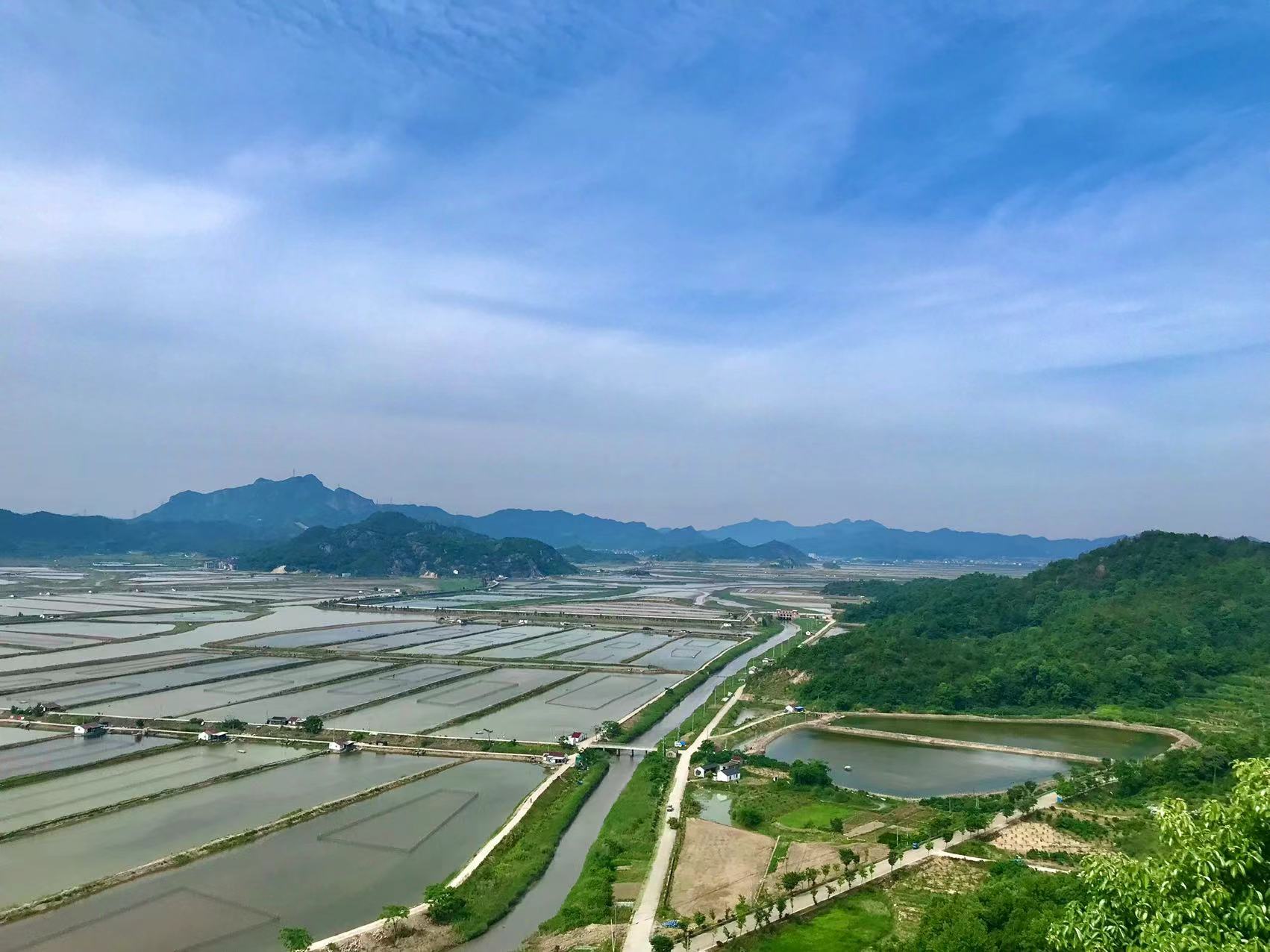 海寻湾三门青蟹养殖日常喂投！