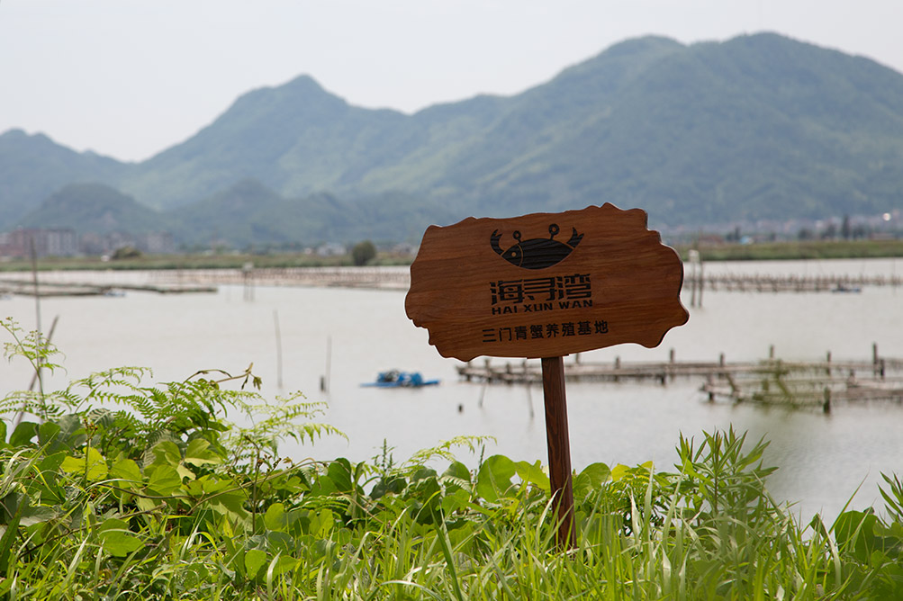 海寻湾：三门青蟹养殖蟹塘日记！