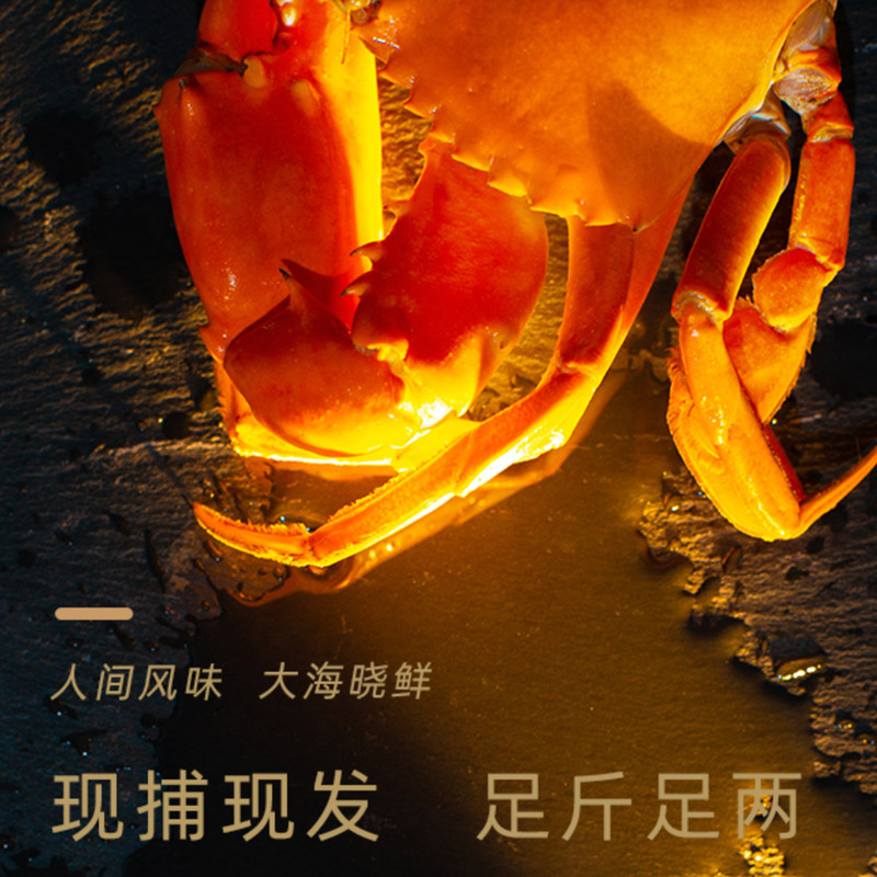 海寻湾：无蟹不成秋 眼下三门青蟹正当时 ！